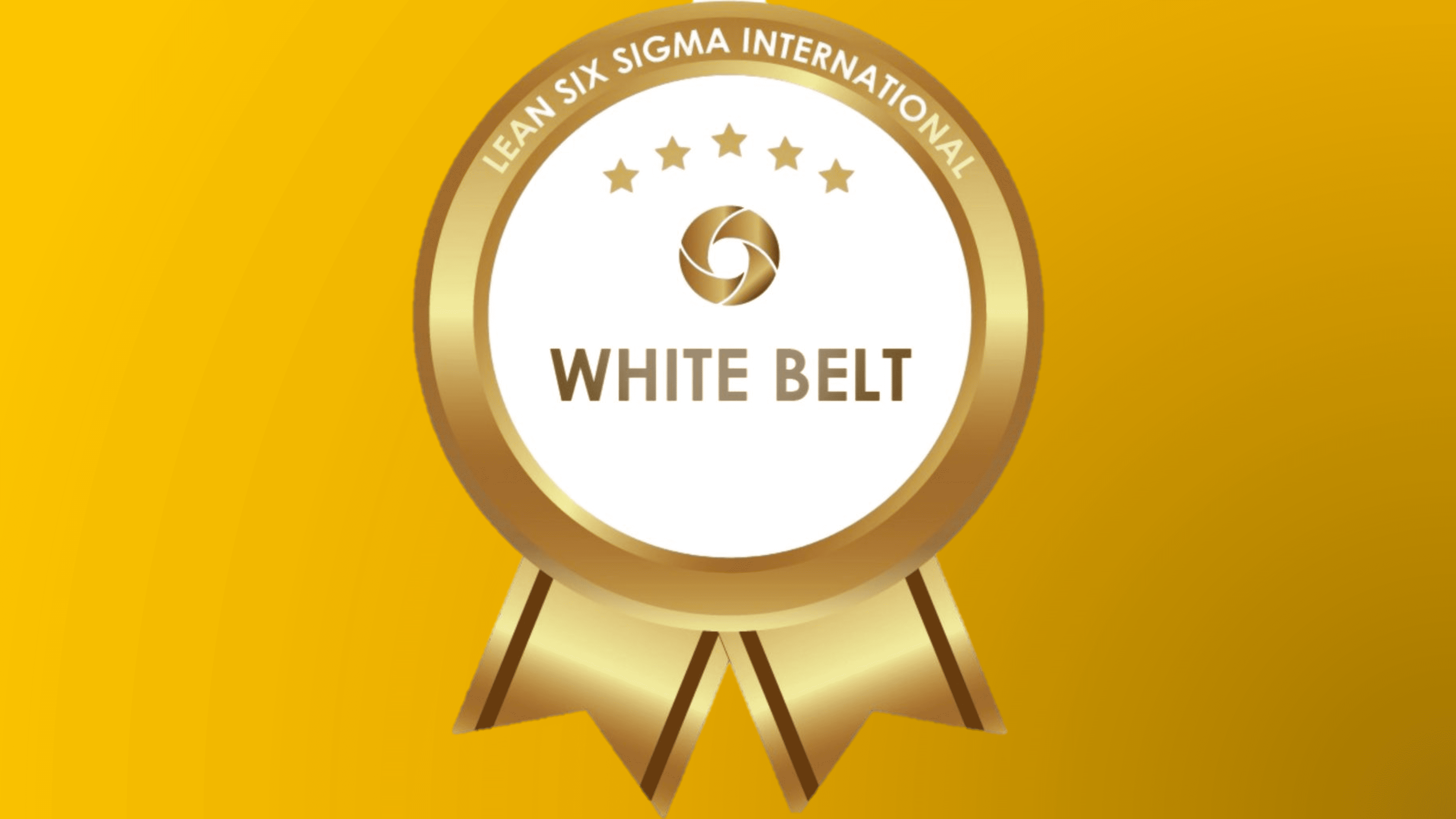 Lean Six Sigma White Belt
