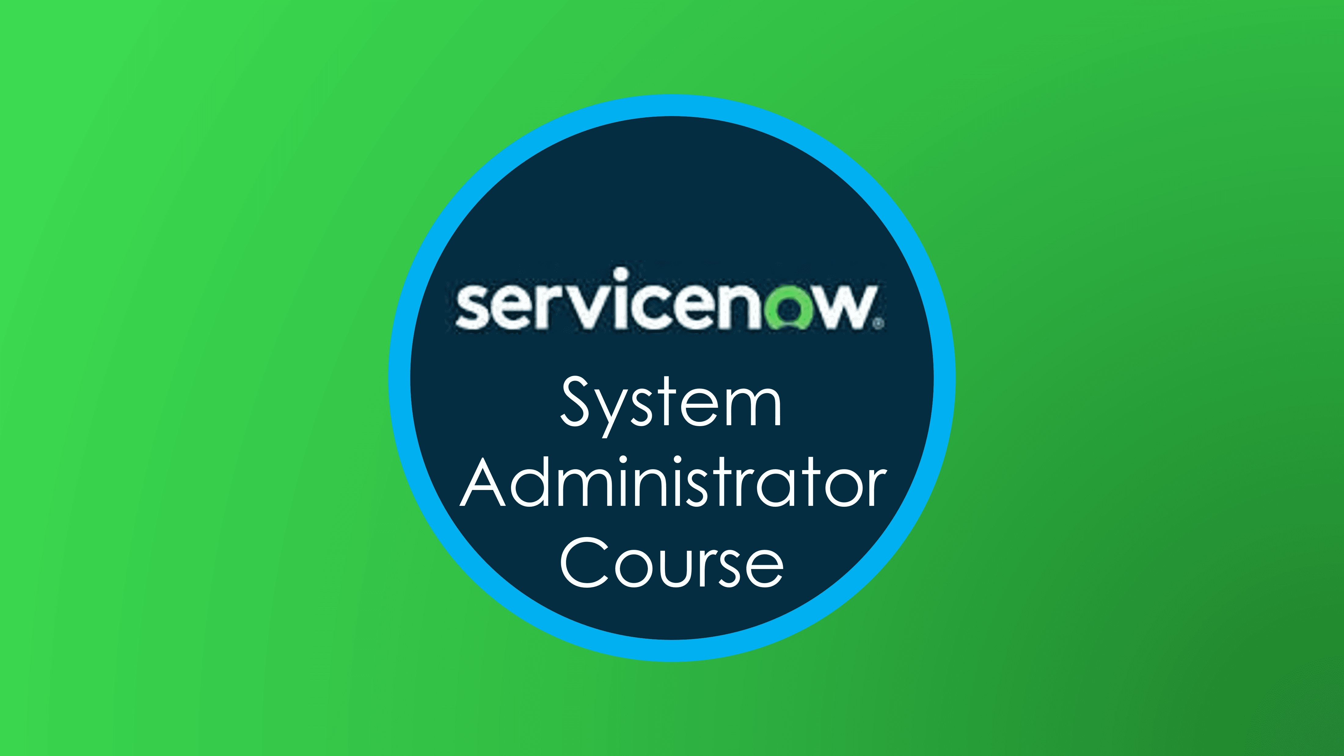 ServiceNow System Administrator